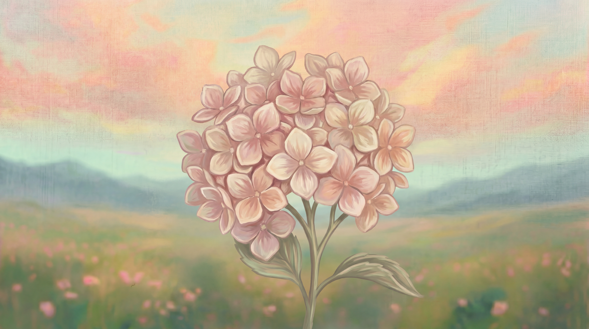 Hydrangea