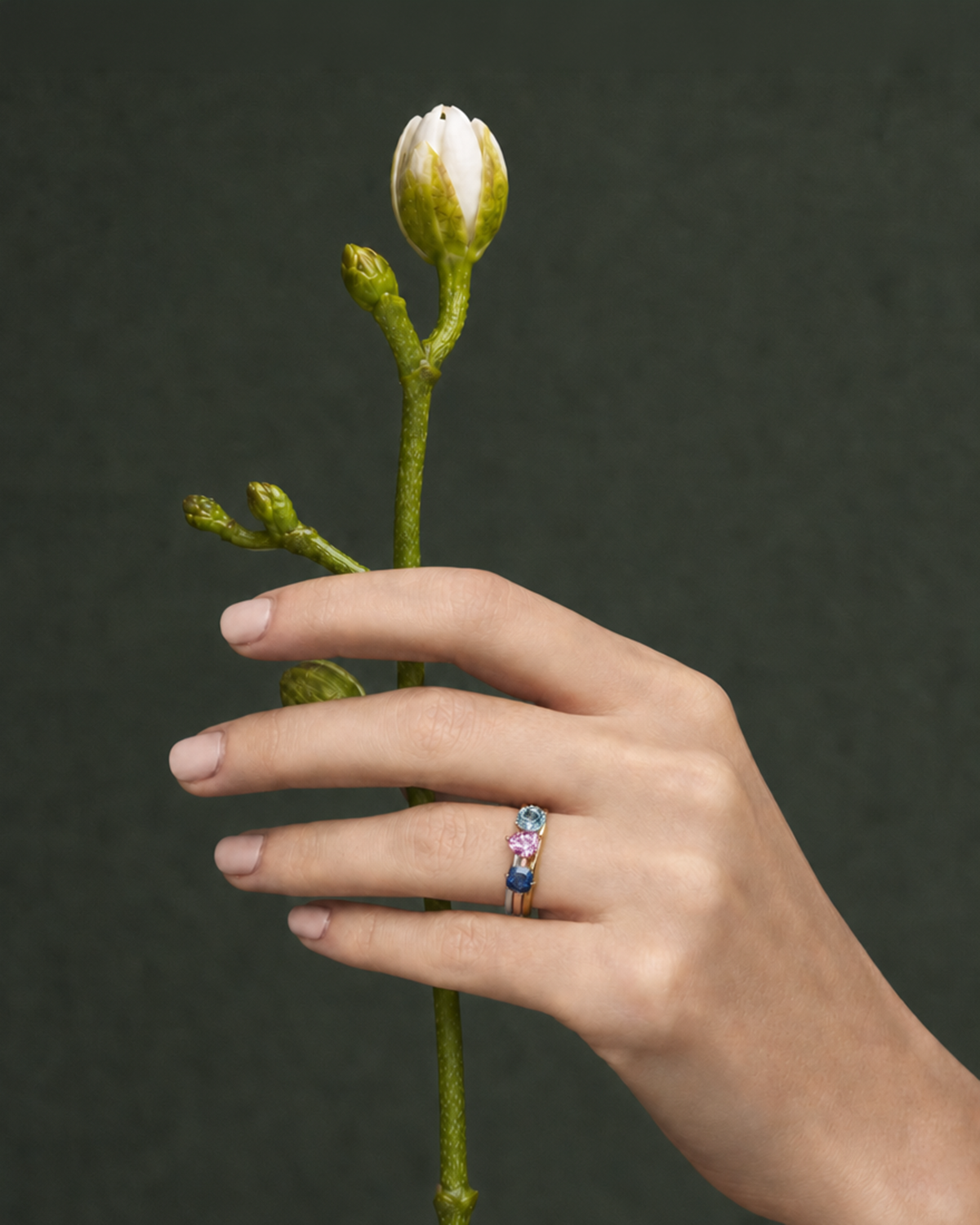 Bud