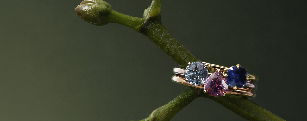 Bud