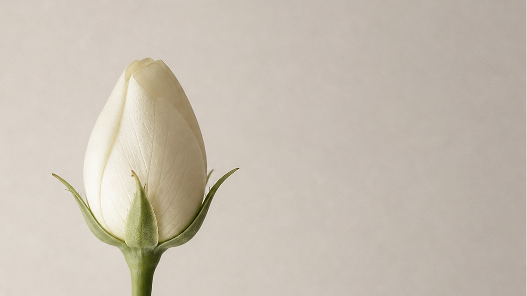 Discover your flower language
