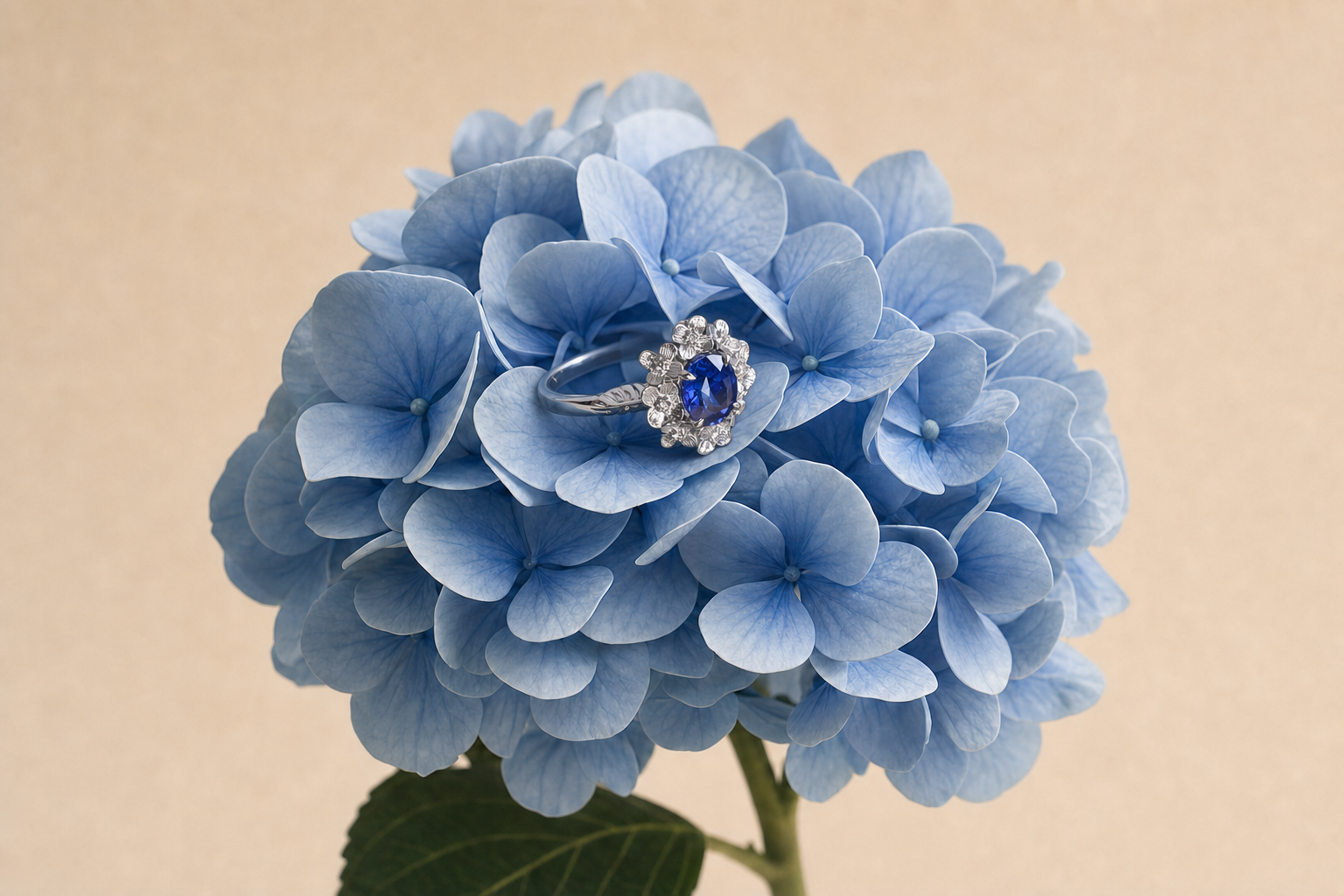 The First Bloom