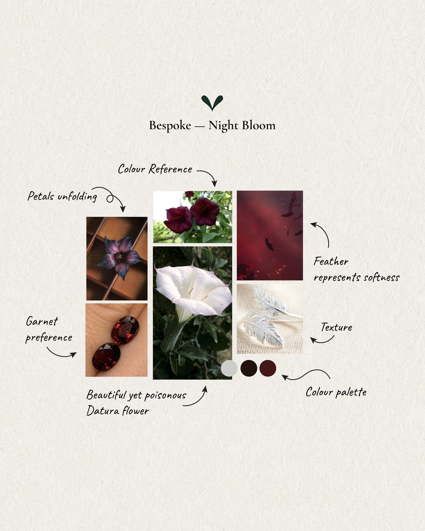 From Seed to Bloom